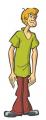 Rob416's Avatar