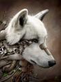cyber wolf's Avatar