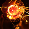 againuntodust's Avatar