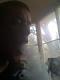 King Shisha