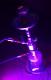 HookahTripz12