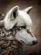 cyber wolf
