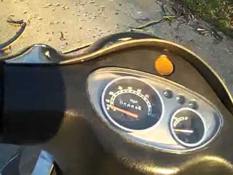 Madwolf On a Scooter