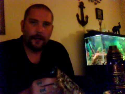 Shisha Tobacco Review: Hills Brother's Treasure... Shisha Tobacco Review: Hills Brother's Treasure...