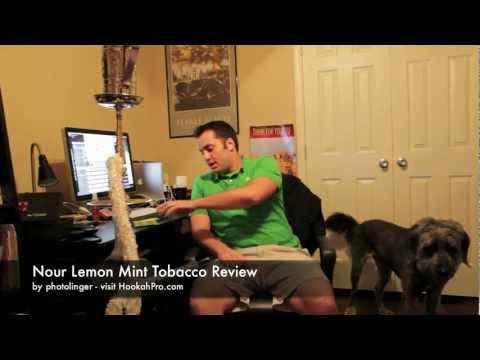 Nour Lemon-Mint Tobacco Review - HookahPro