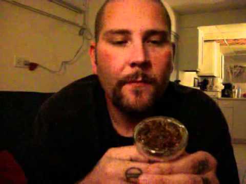 Shisha Tobacco Review: Guru Blueberries