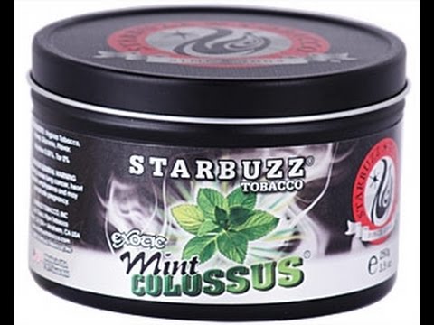Starbuzz Exotic Mint Colussus Review. Starbuzz Exotic Mint Colussus Review.
