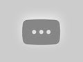Nammor Syrian Rig Review Nammor Syrian Rig Review