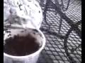 Hookah-Hookah Cinnamon review