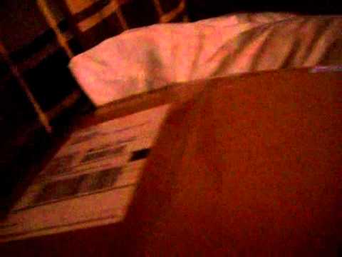 Hookah-Shisha Vendor Review #5