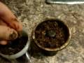 How To Pack A Vortex Bowl With HH/HF Video... How To Pack A Vortex Bowl With HH/HF Video...