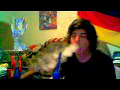 Guru Double Rainbow Shisha Review