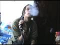 Hookah Hookah Kiwi Review