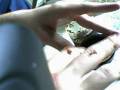 How To Pack HH and HF Into A Vortex Bowl