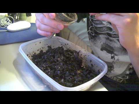 How To Pack and Heat Manage Tangiers in a Crown...