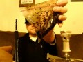 Tangiers Chocomint Review