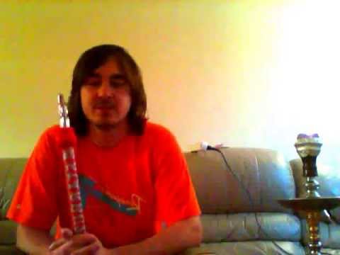 Argelini Shisha Shot Wild Berry Mint Review