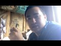 Al Fakher Mango Review- Hookah Store Al Fakher Mango Review- Hookah Store