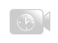 Vendor Review: Hookah-Shisha #1 Vendor Review: Hookah-Shisha #1
