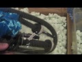 Hookah-Shisha Vendor Review- 7 out of 10
