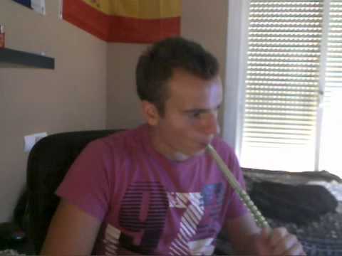 Starbuzz Fuzzy Lemonade Shisha Review