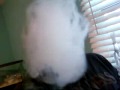 El Basha Grape Cloud El Basha Grape Cloud